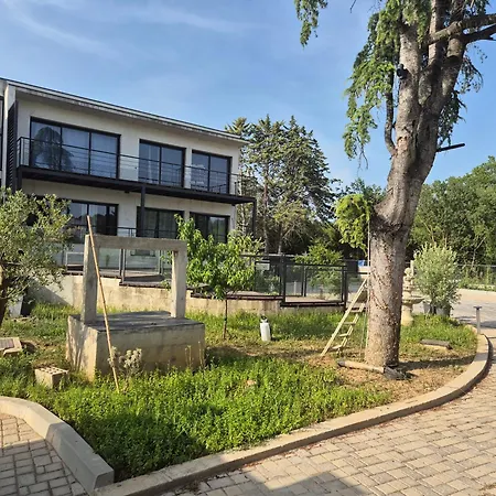 T3 Rdc Mimosas * Juvignac